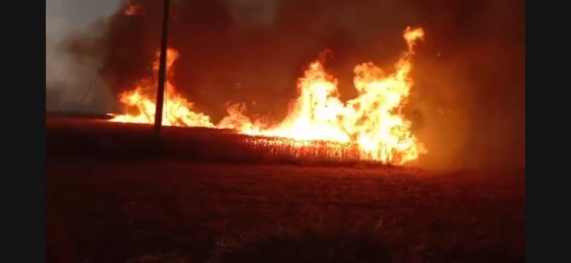 Fire in wheat crop due to lightning