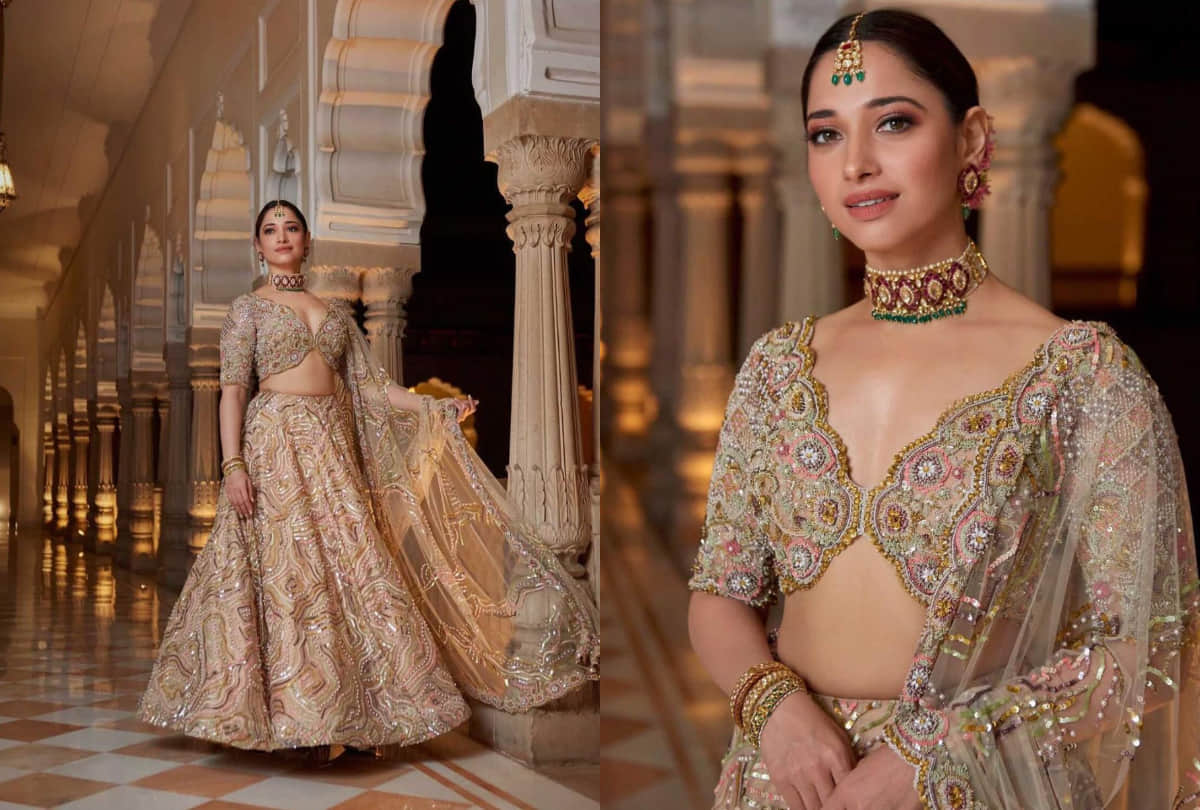 mira rajput alia bhatt tamannaah bhatia bollywood actress ethnic look in friends wedding