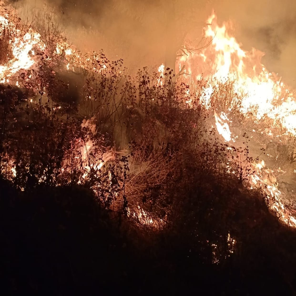 Fire covering the forests of Badola, Kimatoli and Dhoraja