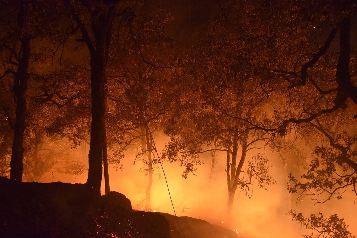 Stones fell on the highway due to burning of forest