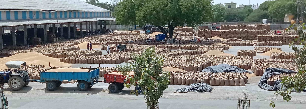 Lifting slow, no tare, farmers night in the Grain market
