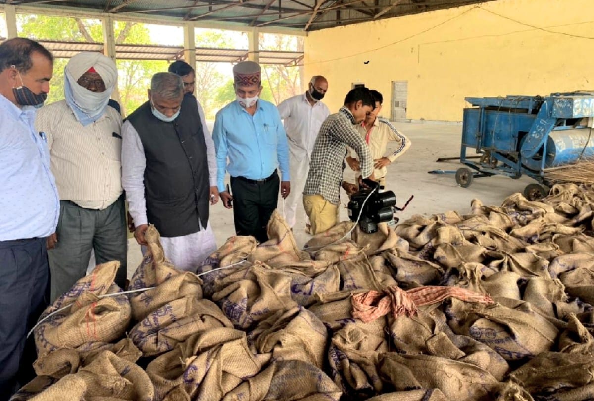 Purchase of wheat started in Himachal's Paonta Sahib and Kalaamb