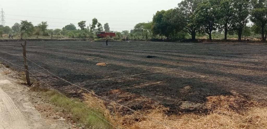 Fire in eight bigha field