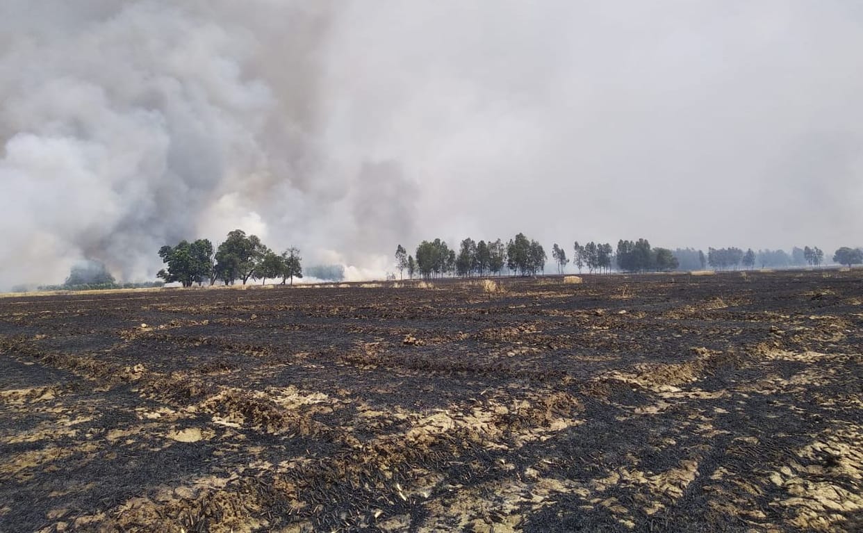fire,hardoi news,hitting wire,20 bhigha,wheat burnt