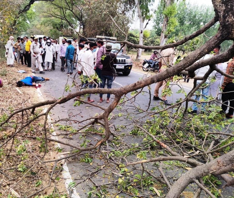 A tree branch fell in a storm, a bike rider died