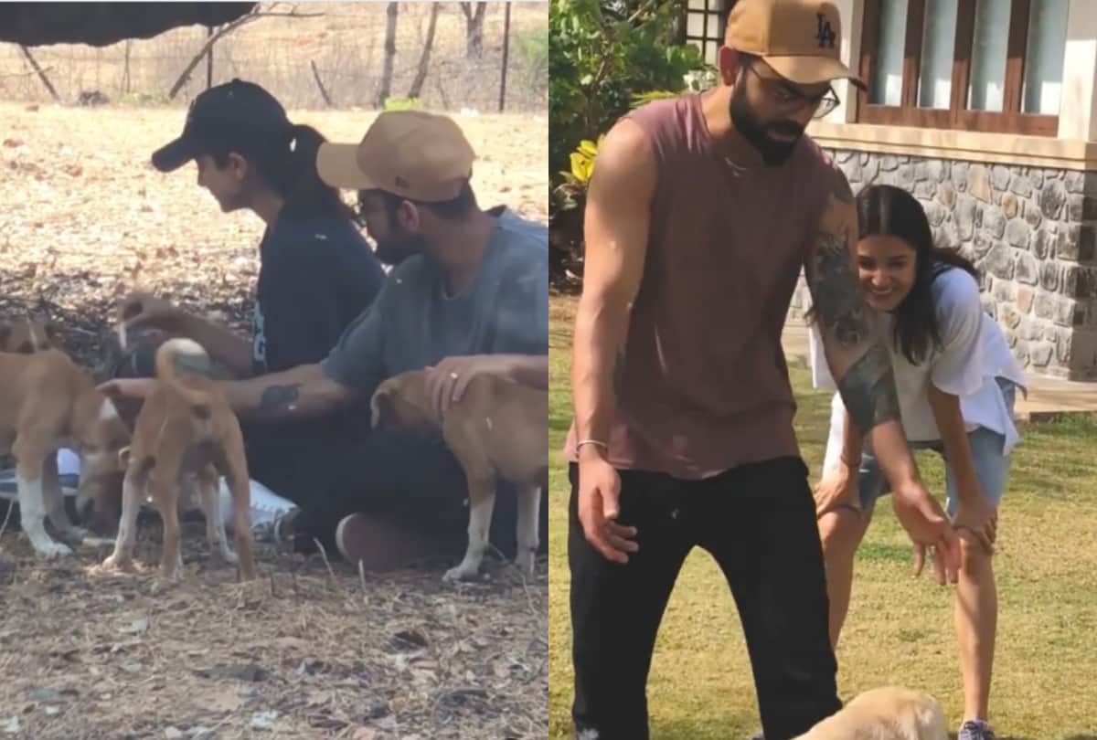 Anushka Sharma Virat Kohli Shared Videos with Stray Dogs and Kids