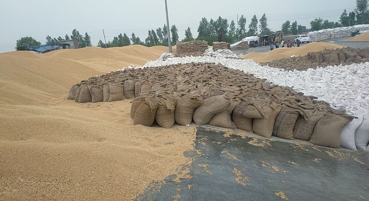 3 MM rained in Sirsa