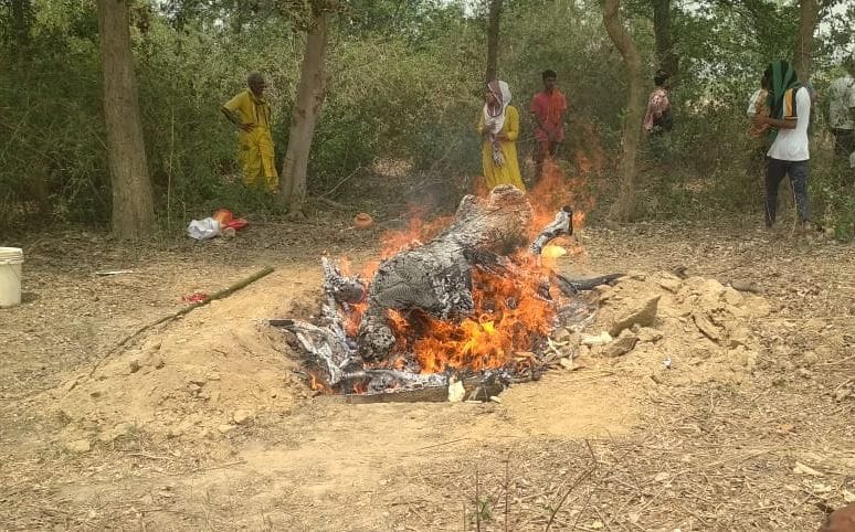 Daughter gave fire to father