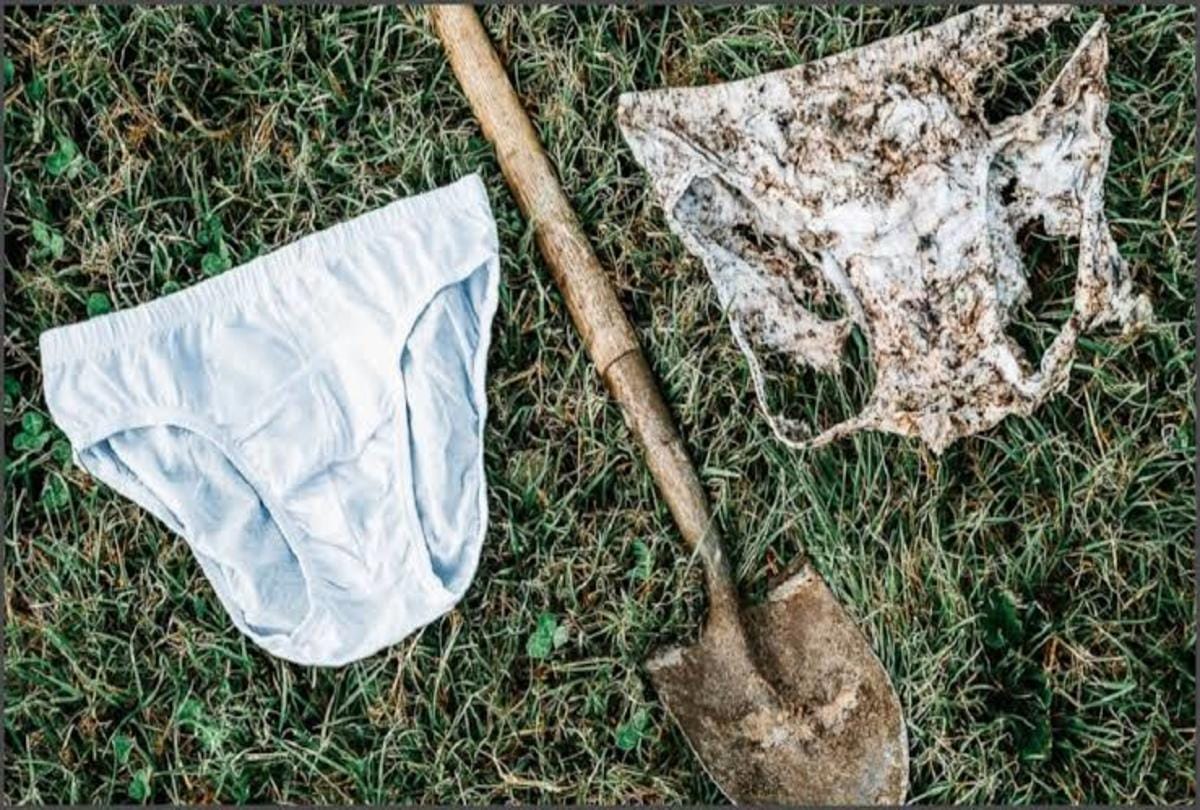 switzerland scientists buried 2000 white underwear for soil testing