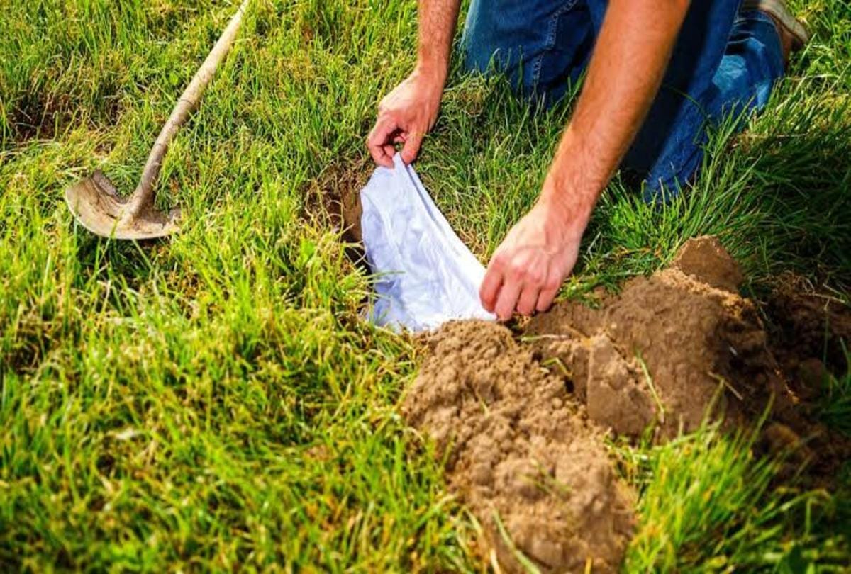 switzerland scientists buried 2000 white underwear for soil testing