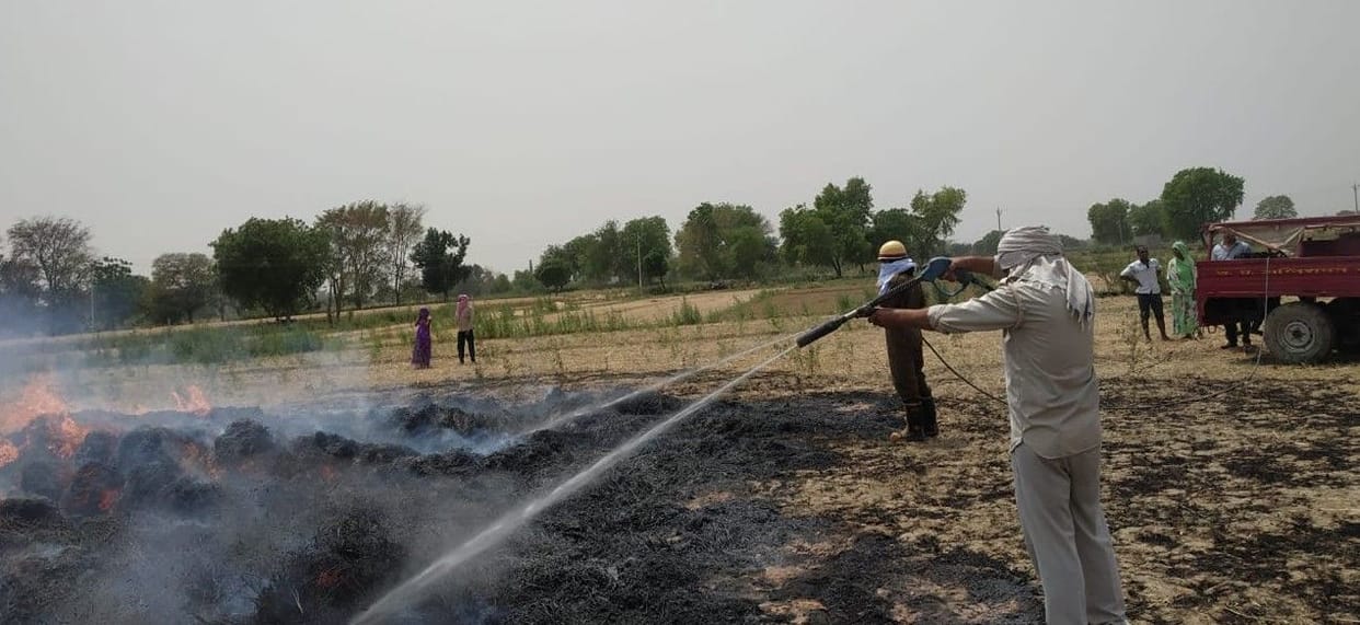 11 bigha crop of wheat burn from electric spark