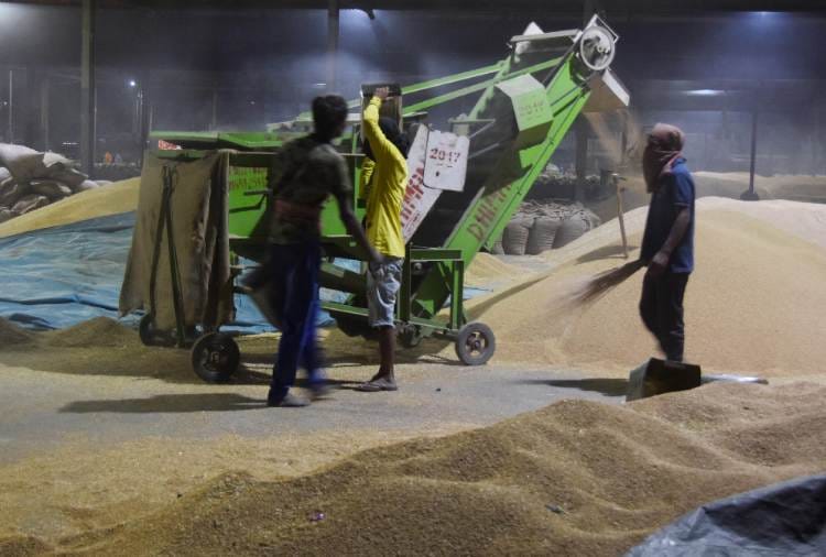 Punjab Farmers who reached Mandi for crop sell worried due to cloudy weather