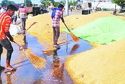 Punjab Farmers who reached Mandi for crop sell worried due to cloudy weather