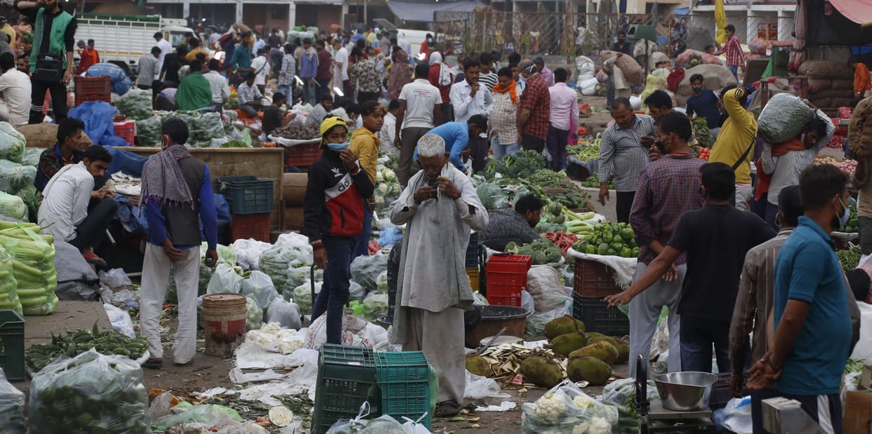Crowds gathered in Mandi, whole seller arrived at 3 in the morning, chandigarh sector 26