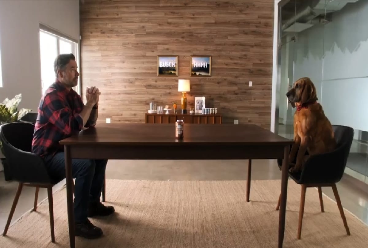 Busch Beer company offering job of 15 lacs rupees to dogs