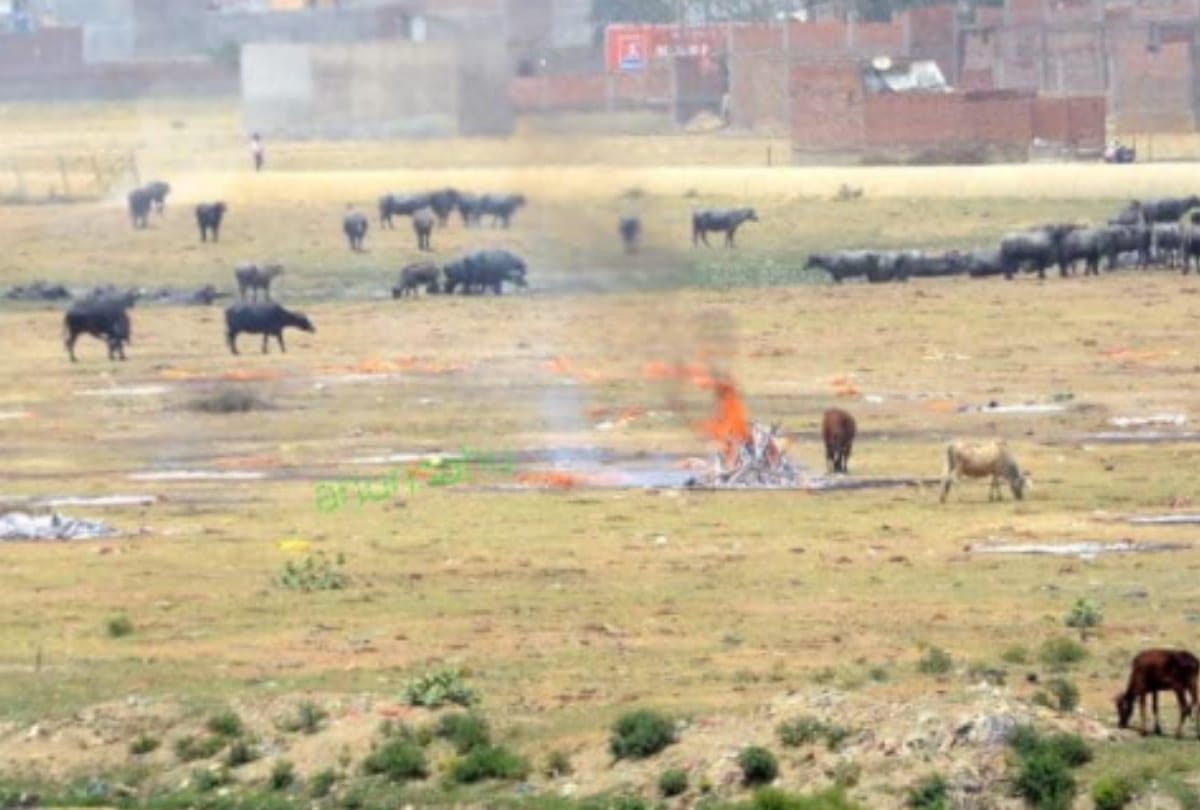 People who are working on cremation ground are afraid of by increasing number of dead bodies.