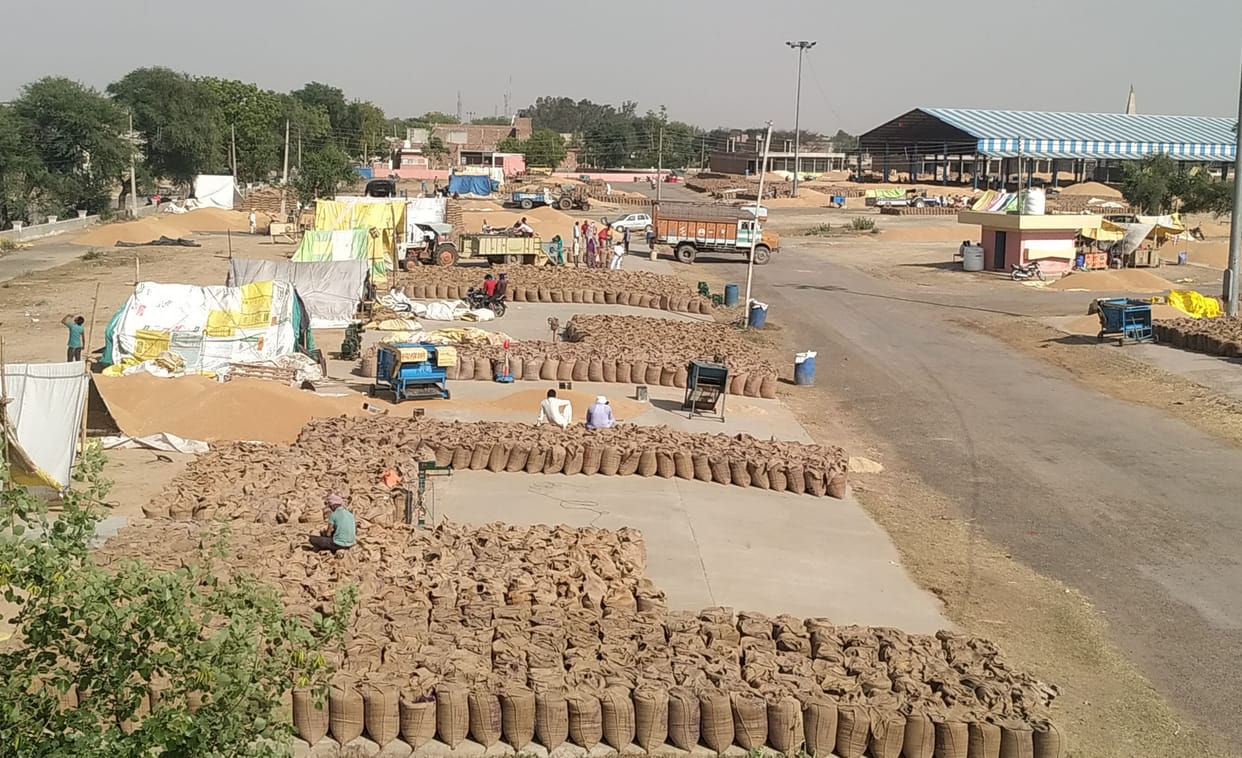 grain market