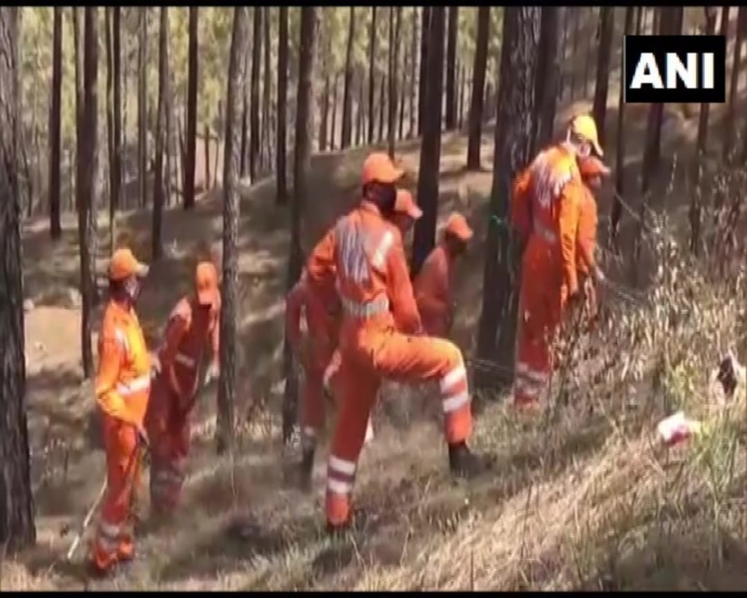 Wildfire in uttarakhand : NDRF helping forest department on forest fire, watch photos