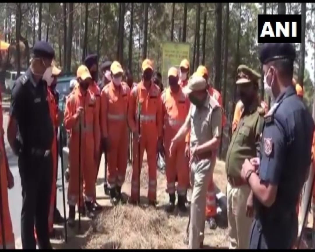 Wildfire in uttarakhand : NDRF helping forest department on forest fire, watch photos