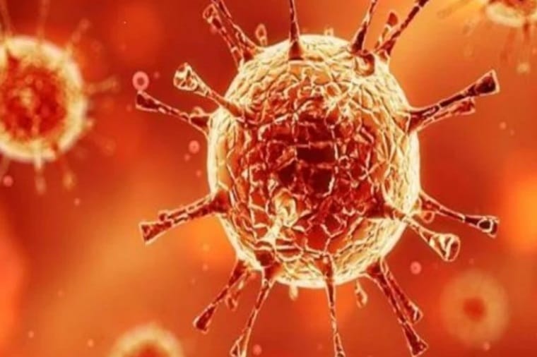 2013 infected, 10 dead in tricity due to corona
