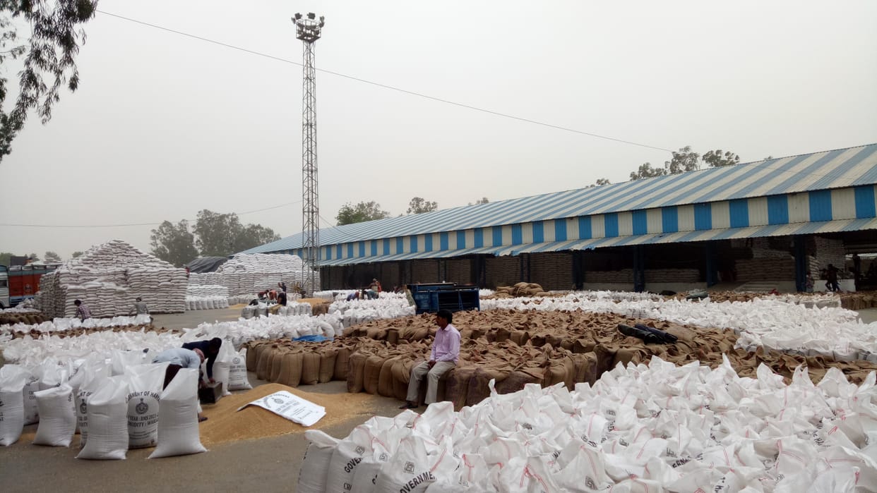 Lack of wheat procurement in the mandis slowed off in Yamuna nagar