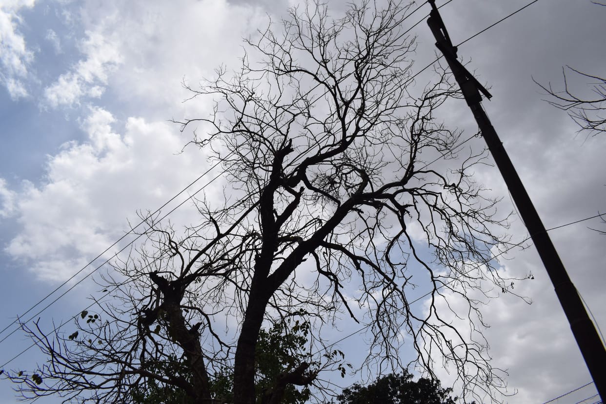 weather in shahjahanpur
