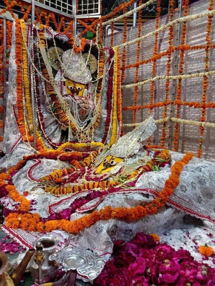 Mathura: Viraje Giriraj Prabhu among flower petals