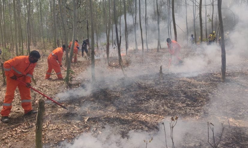 Mock Drill at Tanda Forest