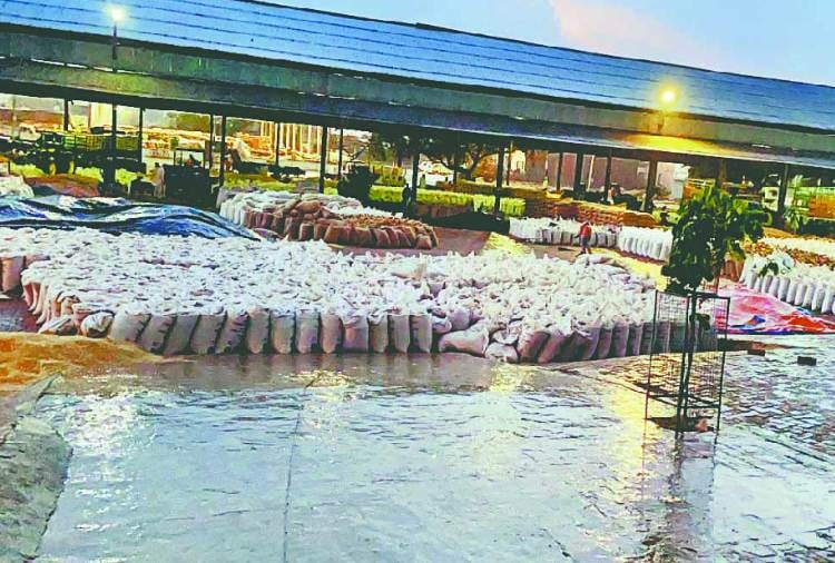 Wheat soaked in rain at grain markets in Punjab