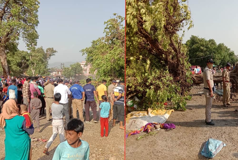 Uttarakhand Champawat News: Couple and Grand Daughter Died after Tree Fallen by High Wind photos