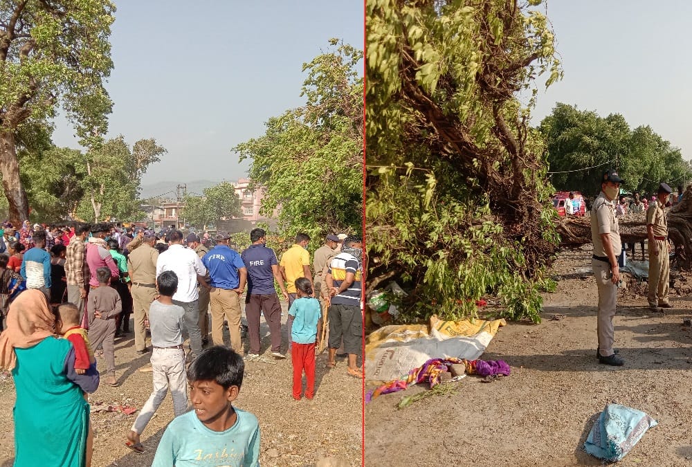 Uttarakhand Champawat News: Couple and Grand Daughter Died after Tree Fallen by High Wind photos