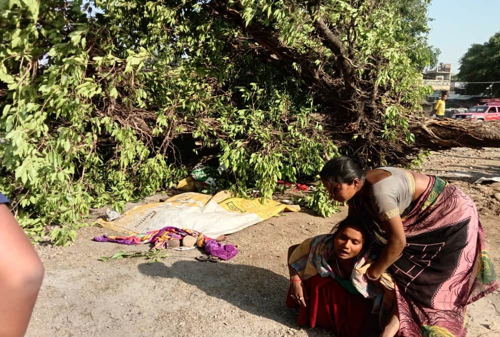 Uttarakhand Champawat News: Couple and Grand Daughter Died after Tree Fallen by High Wind photos