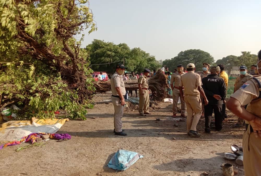 Uttarakhand Champawat News: Couple and Grand Daughter Died after Tree Fallen by High Wind photos