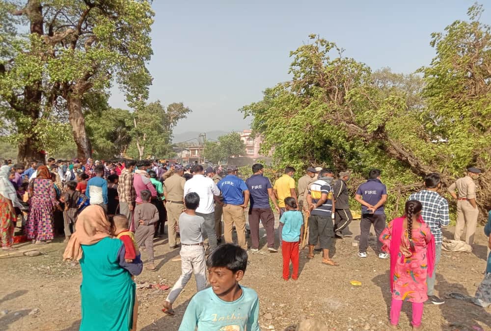 Uttarakhand Champawat News: Couple and Grand Daughter Died after Tree Fallen by High Wind photos