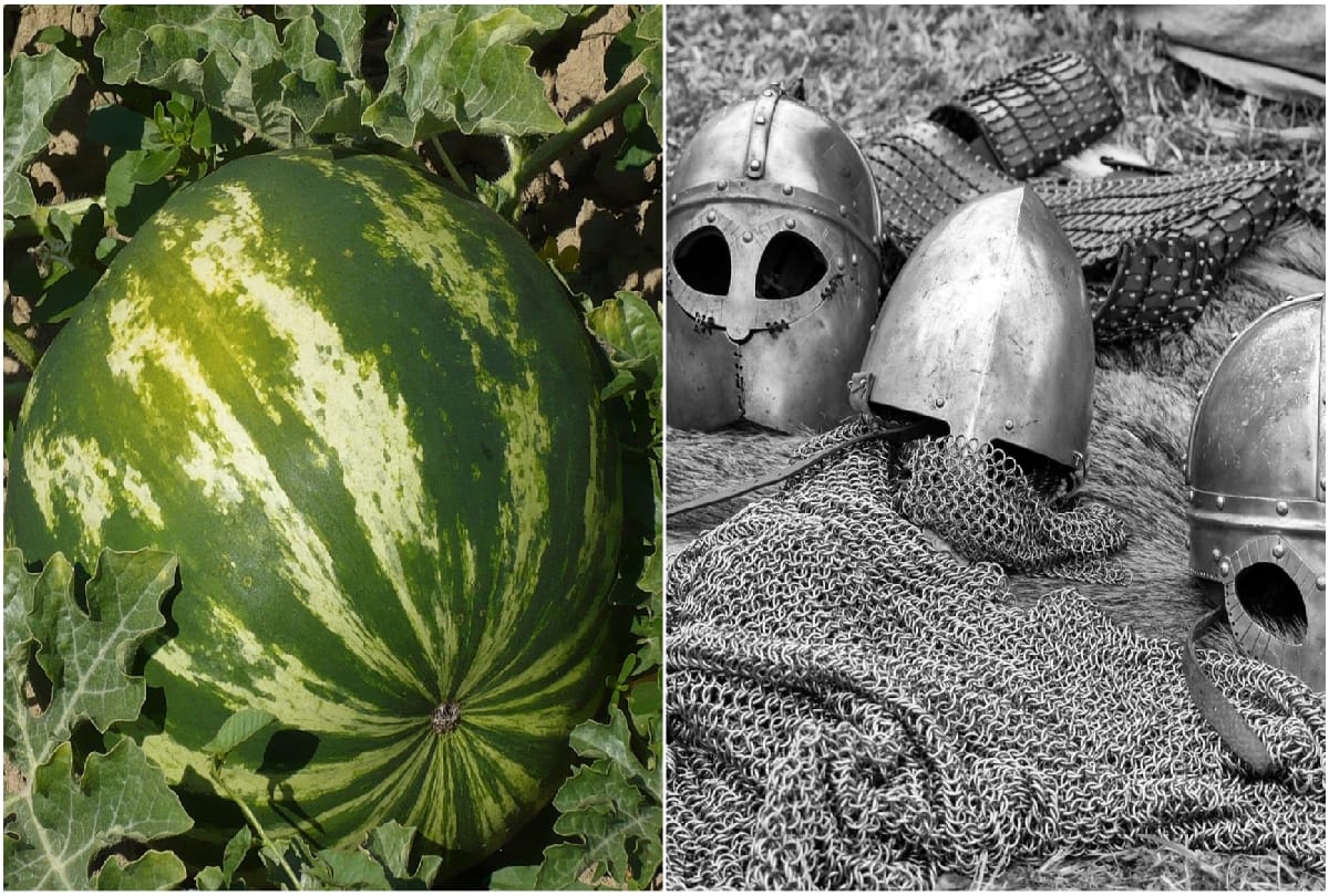 Interesting story of two most strange war of history matire ki rad and the battle of karansebes