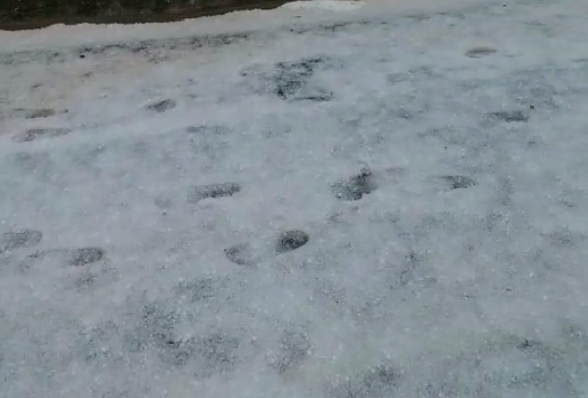 weather forecast jammu kashmir Rain and snowfall in Jammu and Kashmir