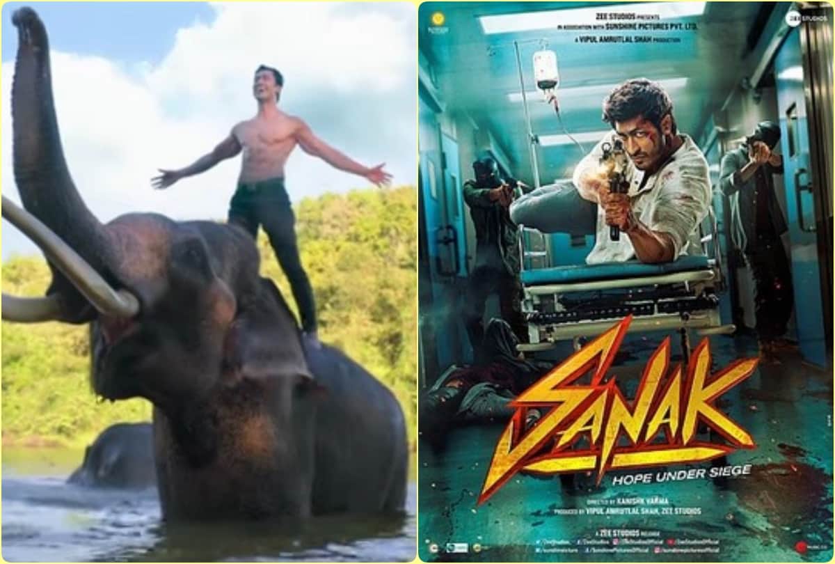 10 Years of Vidyut Jammwal he opened production house after same action films like sanak and commando 3