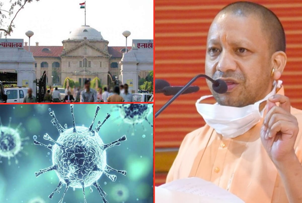 Allahabad High Court says If people are dying due to lack of treatment government is responsible