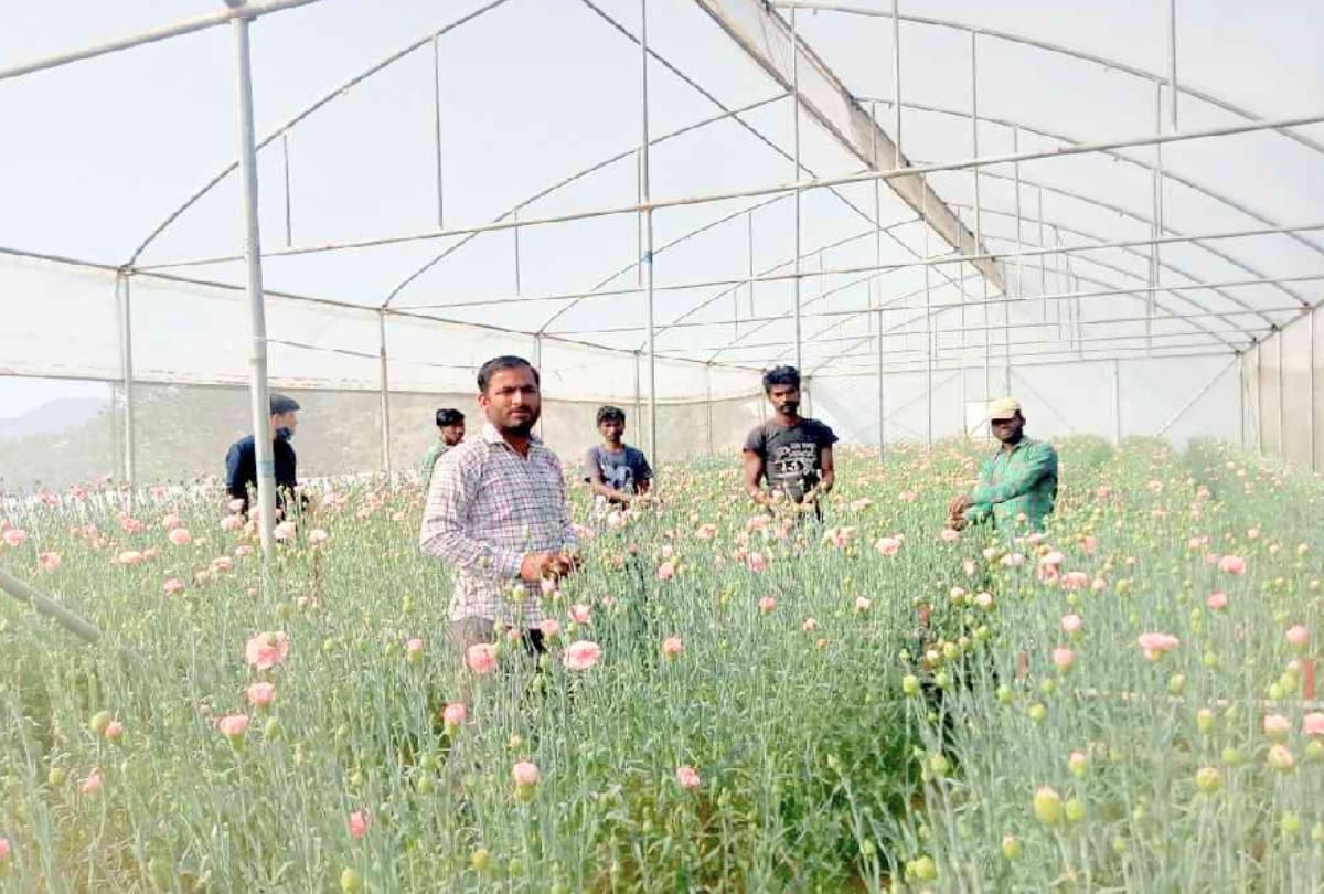 Himachal: crores of Flower business in crisis due to Lockdown in Delhi