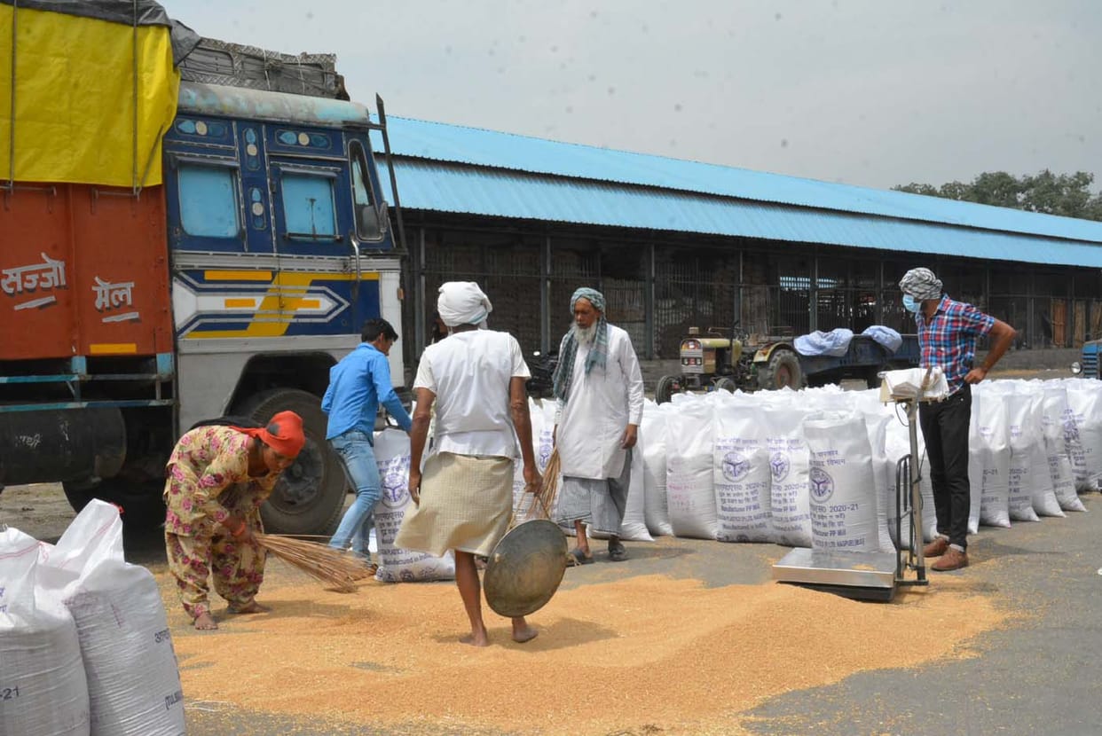 Possibility of increase in purchases at wheat purchasing centers