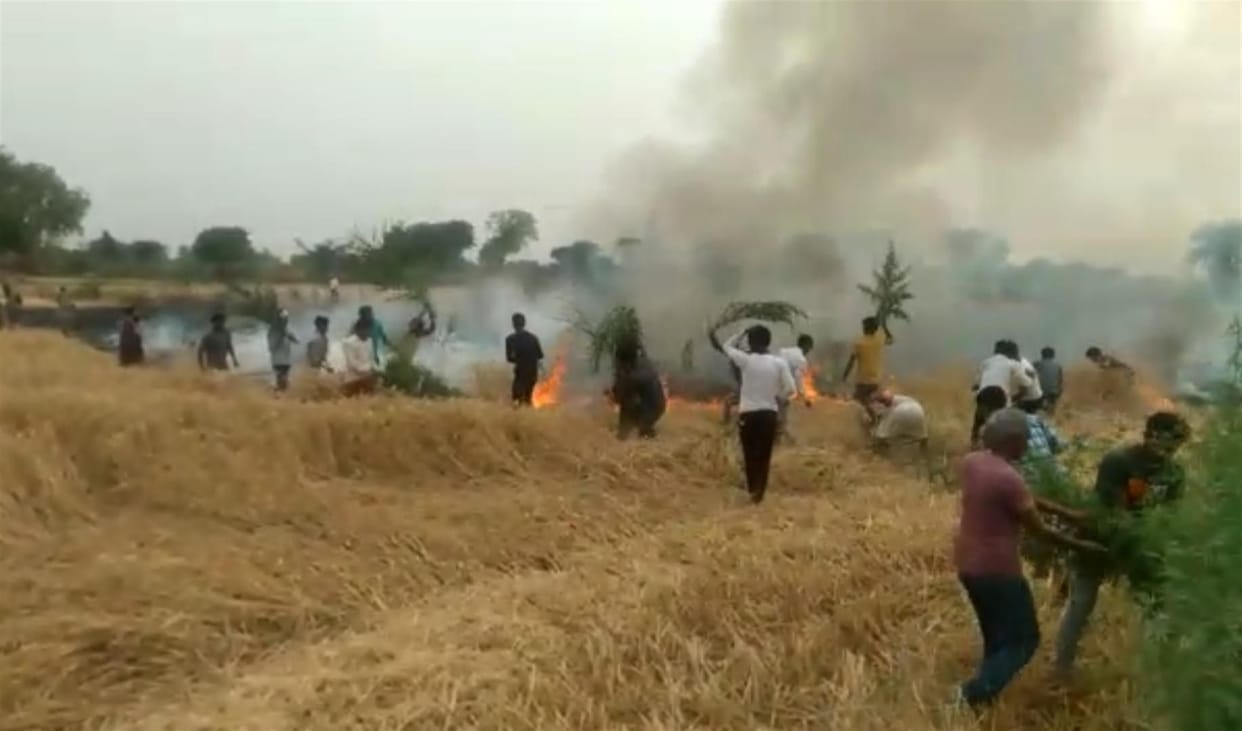 Hathras: Burning wheat crop from fire in Gahula