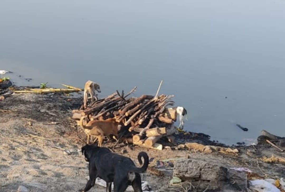 Family men left the dead body half burned in Raebareli Ganga Ghat.