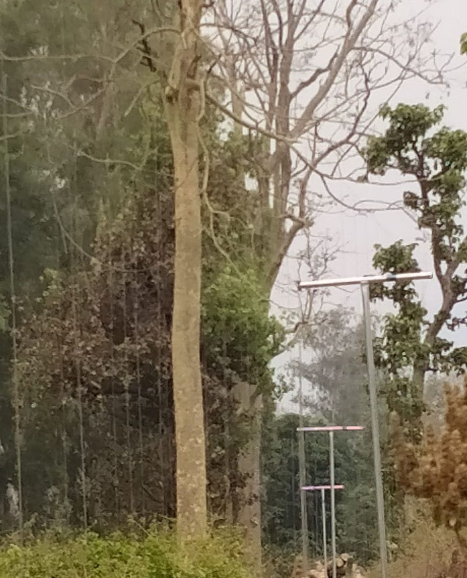 Tental solar fencing in Bastia, Aambagh, elephants will come to a halt