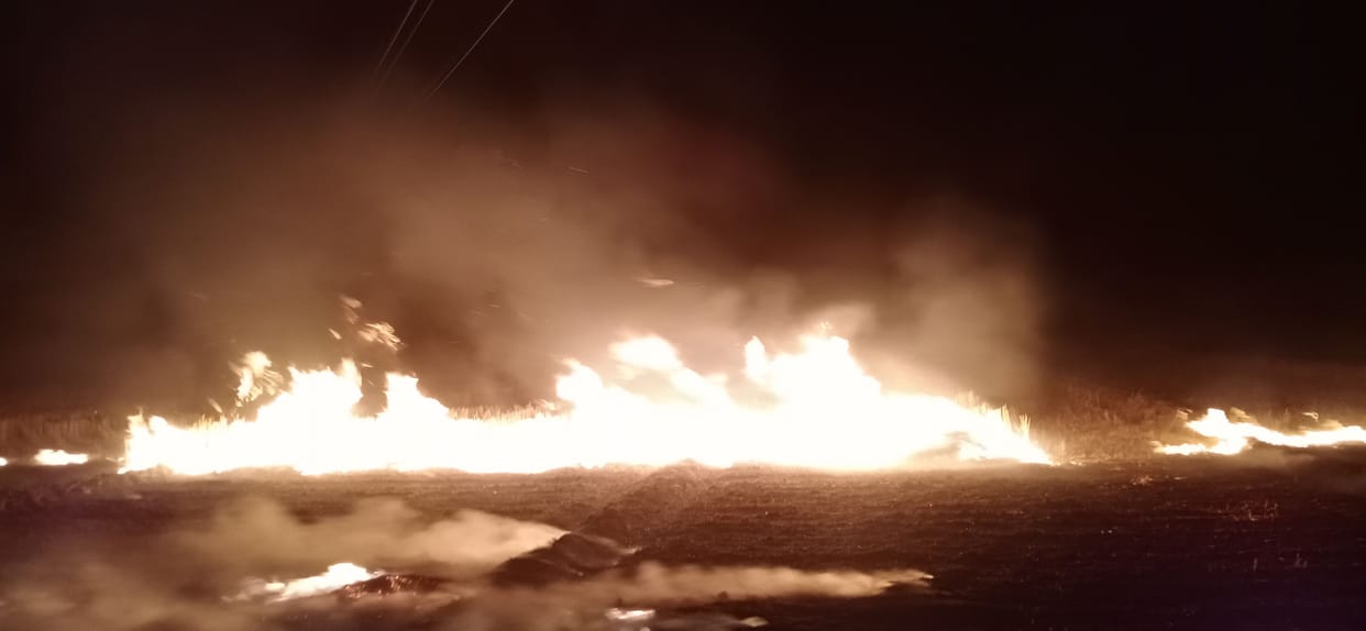Fire at Bazpur