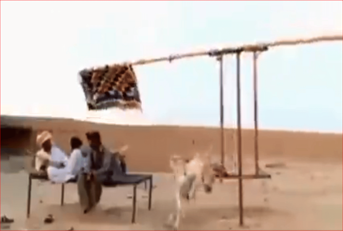 a donkey video viral on social media in which donkey is used to beat the heat