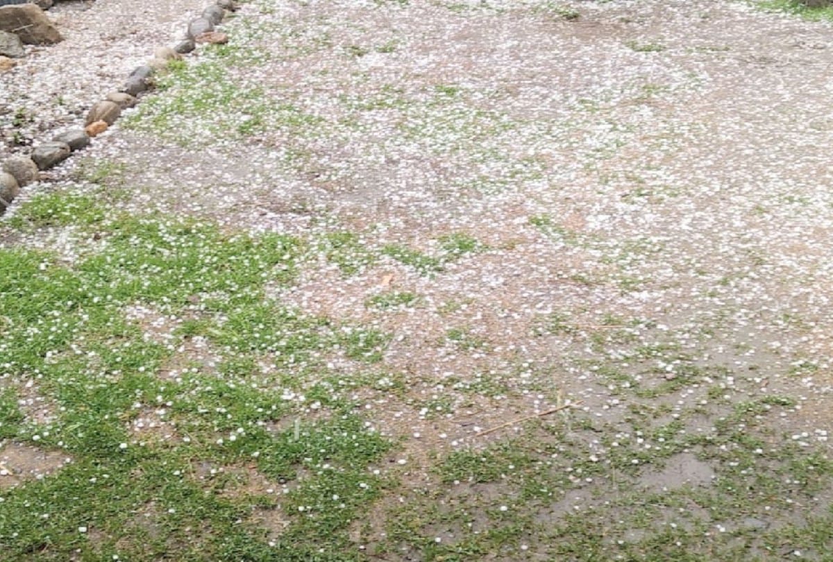 Uttarakhand Weather Forecast Today News: heavy hailstorm in mussoorie and dhanaulti