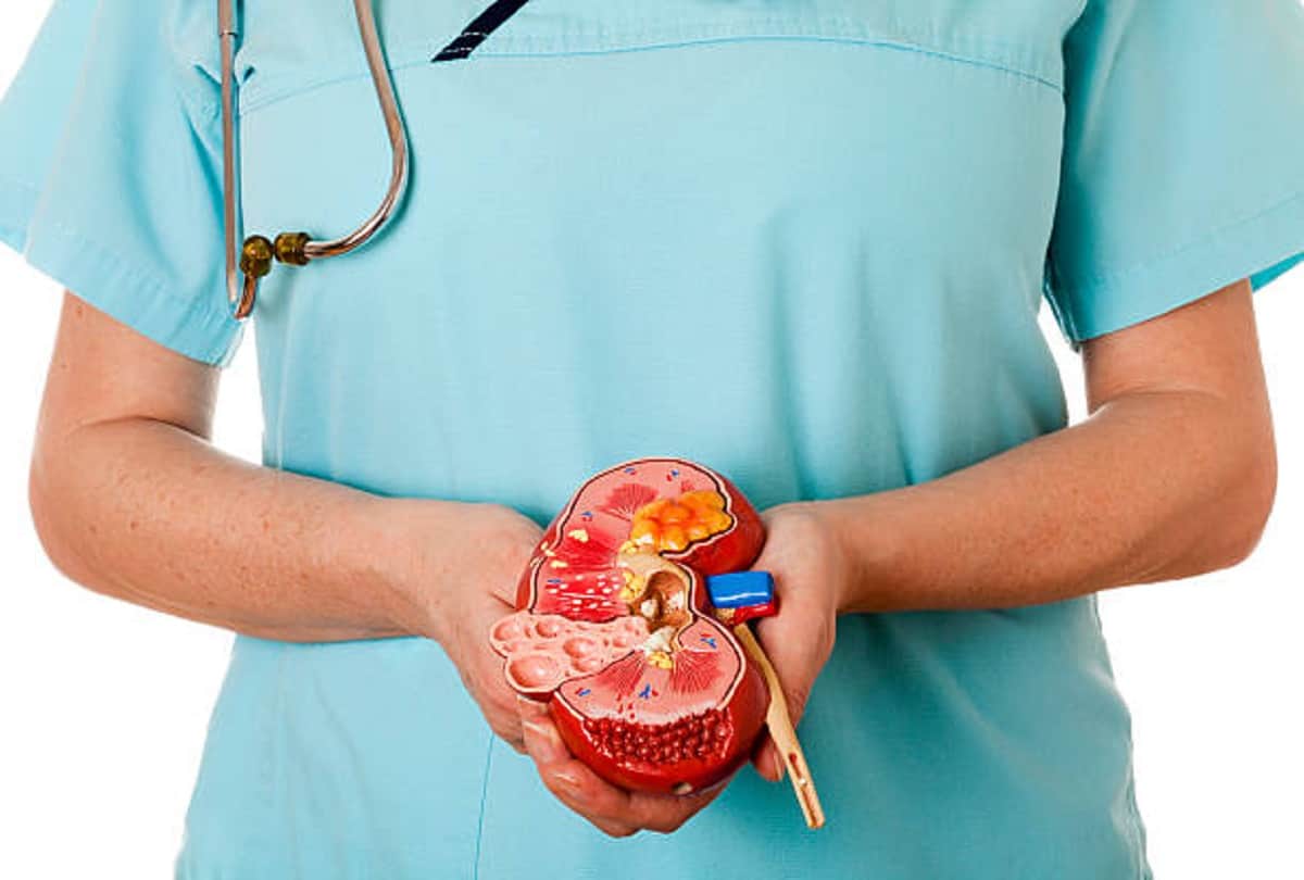 air pollution effects on kidney, all you need to know