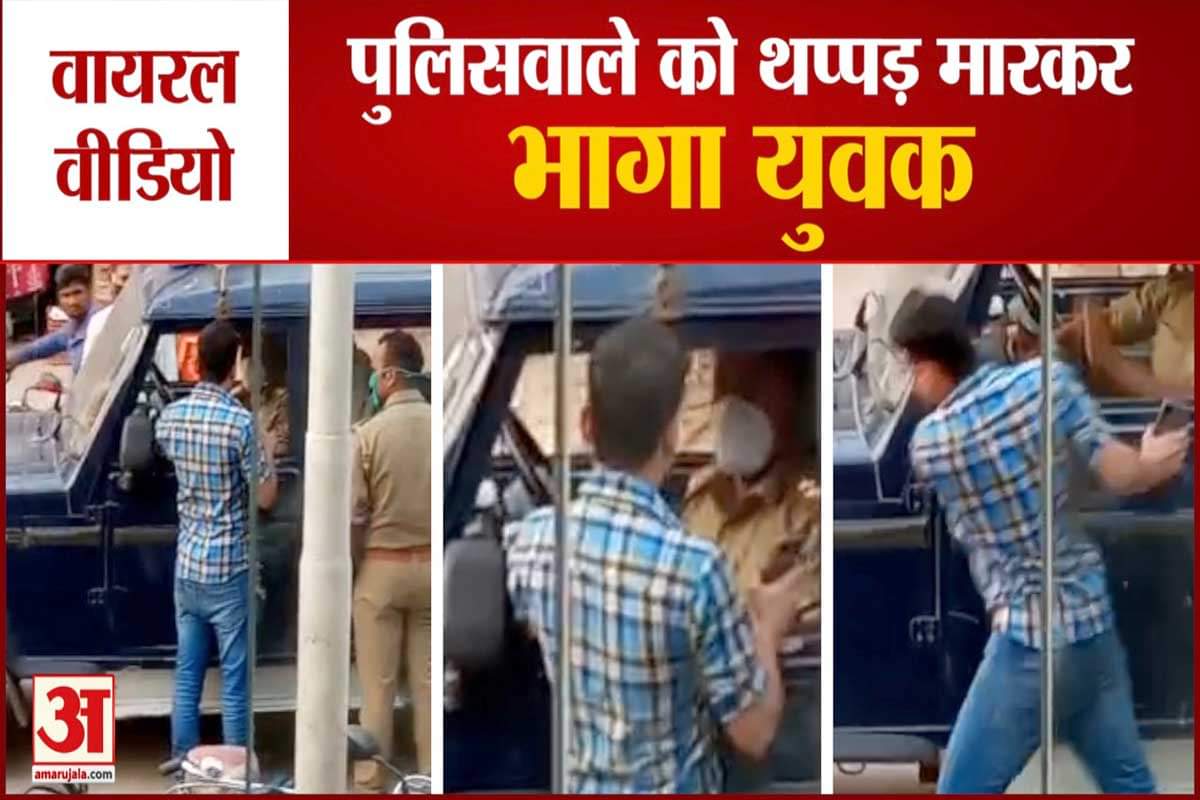 वायरल वीडियो