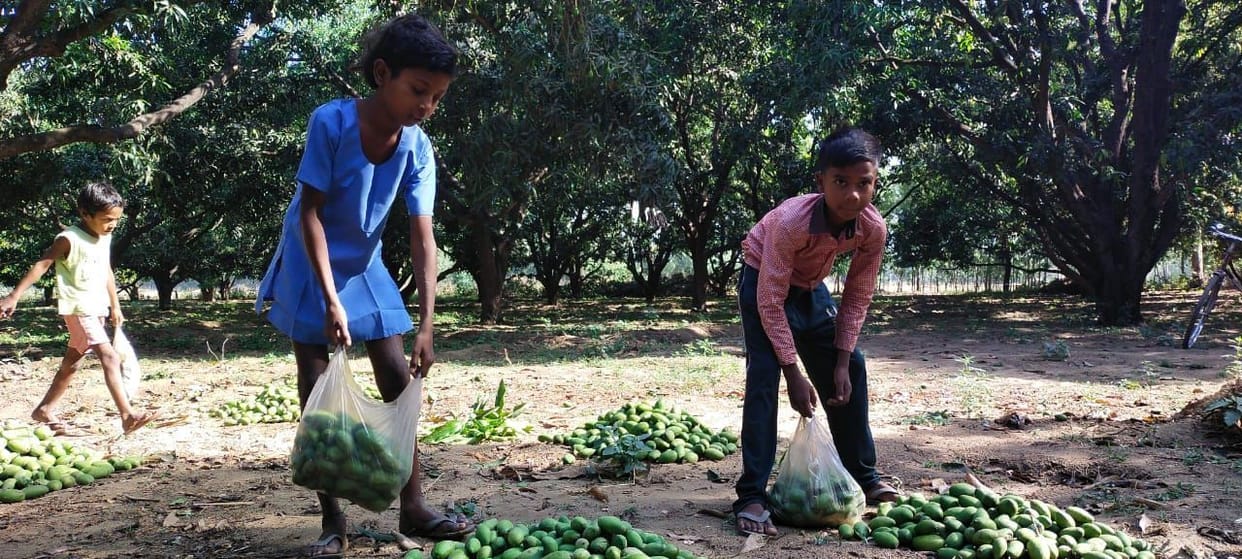Unseasonal rains broke the back of farmers
