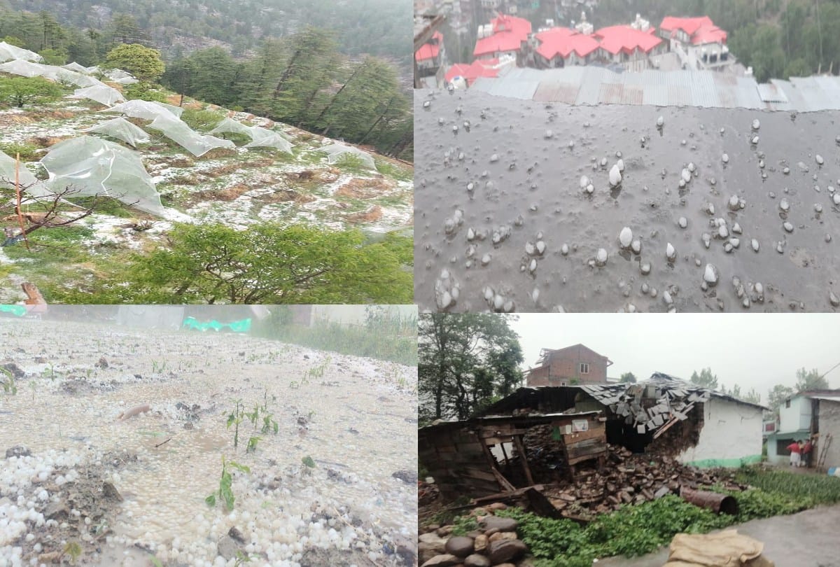 Himachal Weather Today: Capsicum and tomatoes including apple crop damaged by hailstorm,  many roads closed due ro rainfall and snowfall
